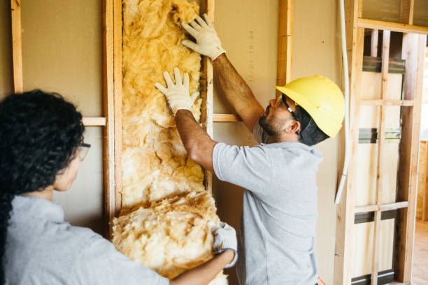 Best Professional Insulation Contractor  in Highland, IN