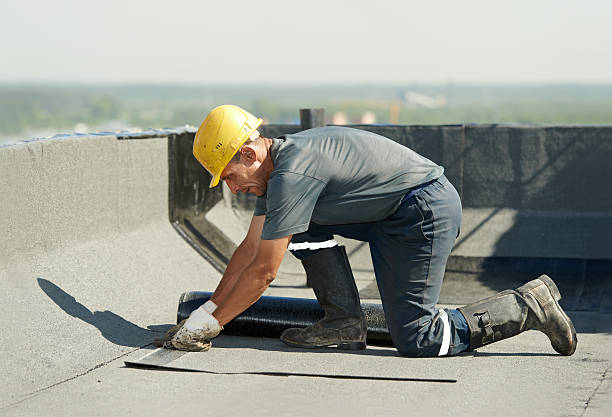 Best Local Insulation Services  in Highland, IN
