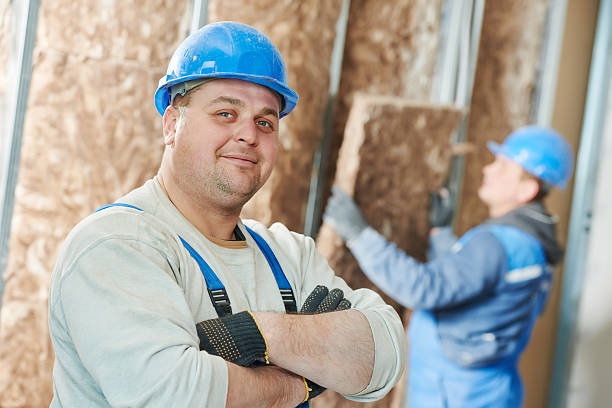 Best Insulation Removal  in Highland, IN