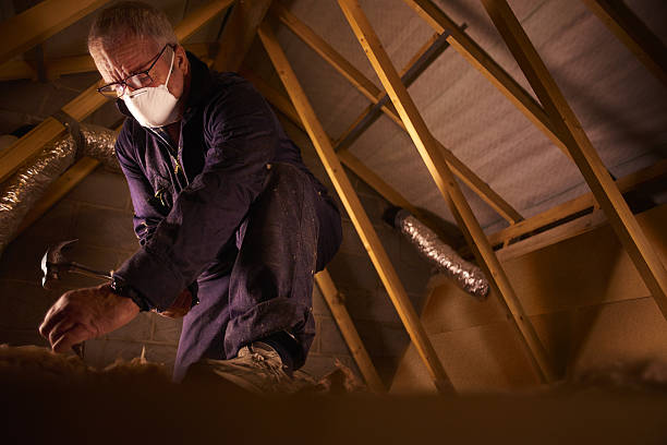 Best Cellulose Insulation  in Highland, IN